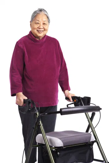 Cheap Price and Fast Delivery Brother Medical Aluminum Rollator Walker with ISO